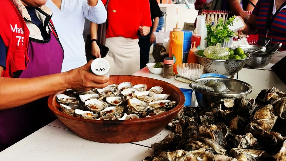 Tasting oysters for the participants