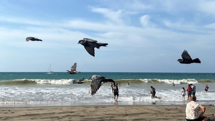 El Murciélago beach, Manta