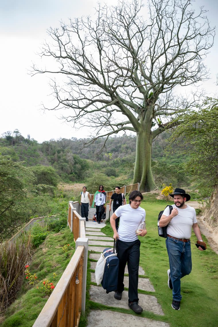 Participants arriving with their suitcases along a path beside a large tree.