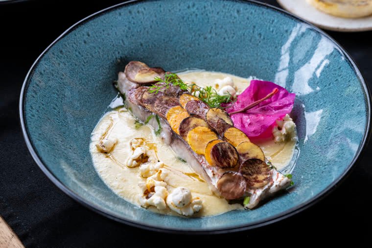 Fish with potato slices, popcorn and a flower, served over cream on a gray-blue plate.